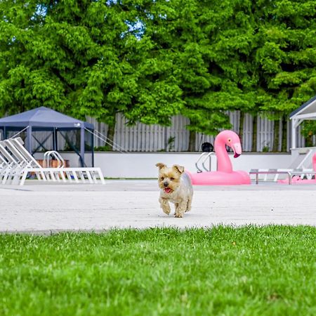 Resort Golf Kołczewo Exteriör bild