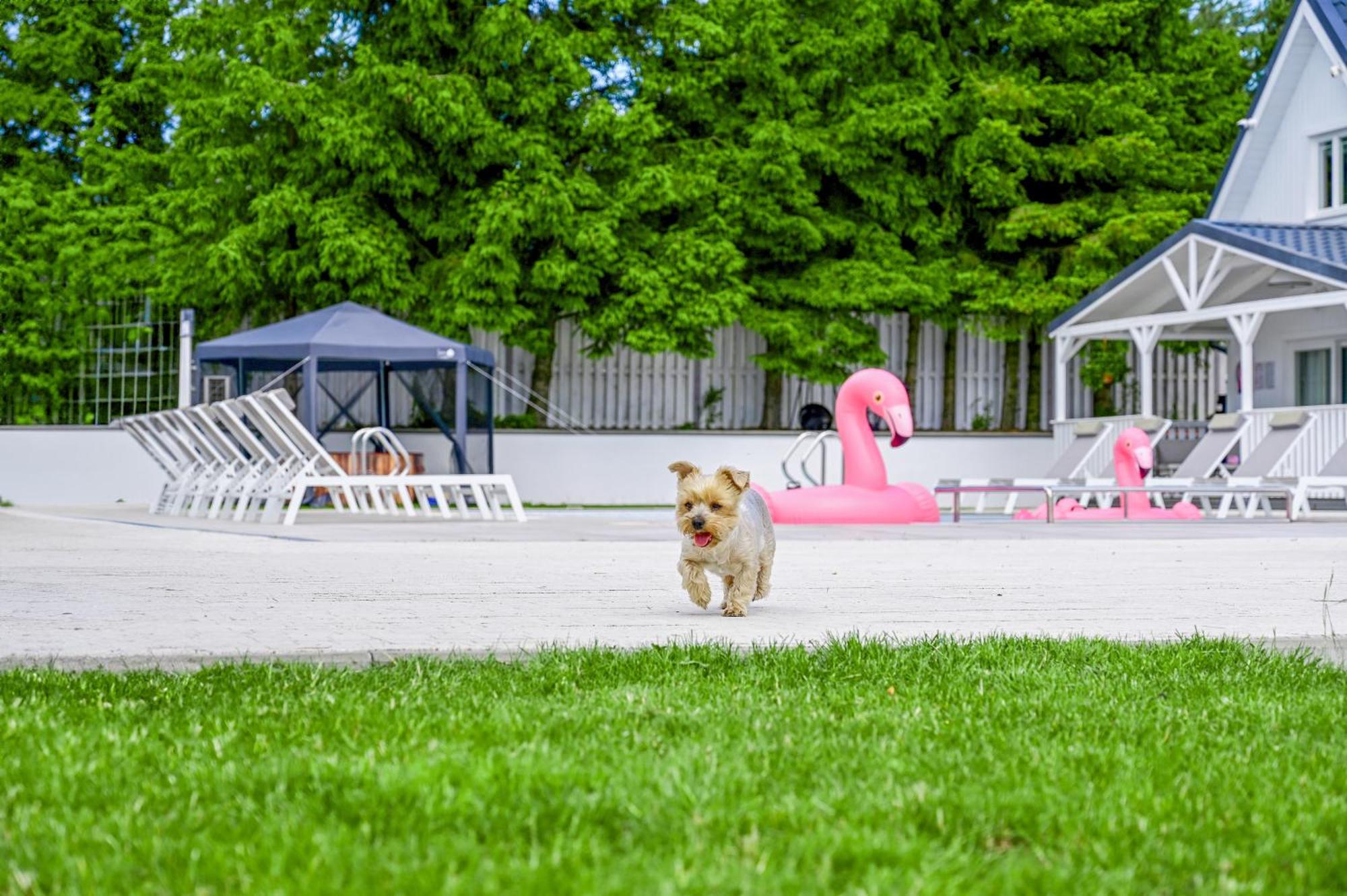 Resort Golf Kołczewo Exteriör bild